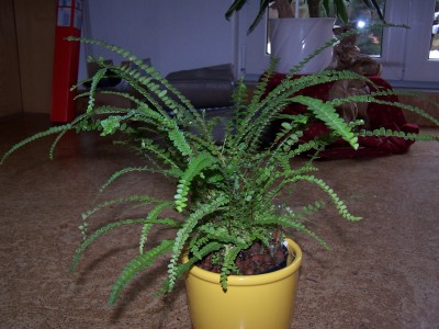 100_6772.jpg