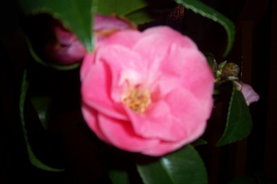 100_4744.JPG