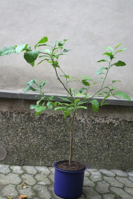 IMG_4148_passig.jpg