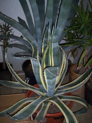 Bild 035.jpg