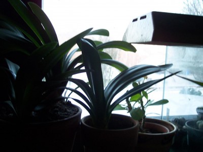 Bild 024.jpg