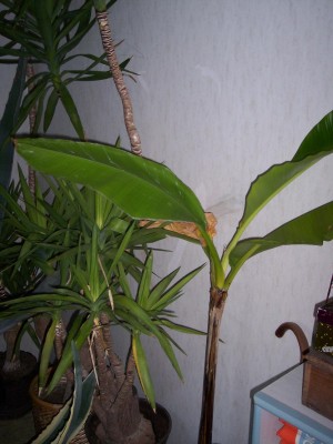 Bild 036.jpg