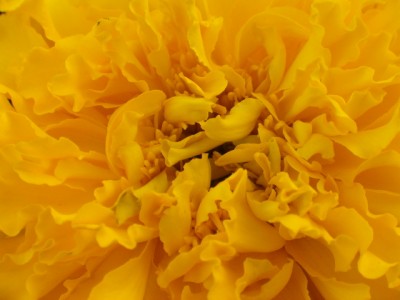 HPIM4956.JPG