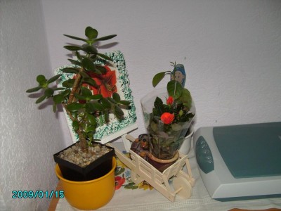 PICT0457.JPG