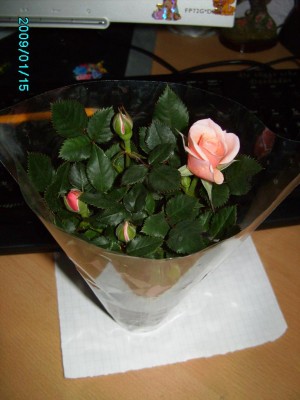 PICT0455.JPG