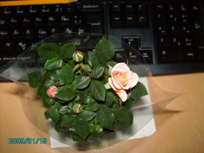 PICT0454.JPG