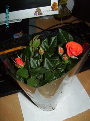 PICT0452.JPG