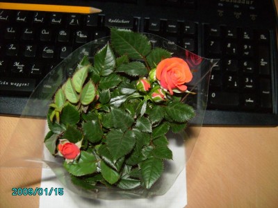 PICT0451.JPG