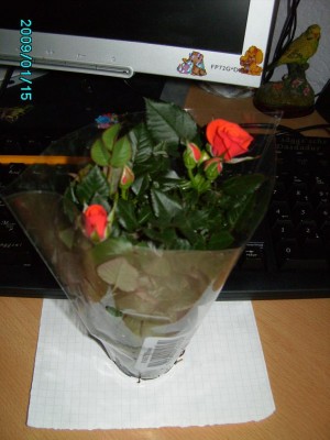 PICT0450.JPG