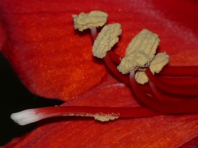 Teich, Ama, Sophie 007.jpg