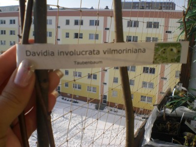 CIMG2679.JPG