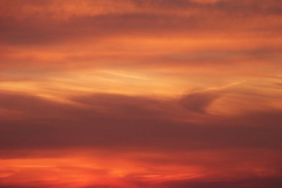 tn_100_0117.JPG