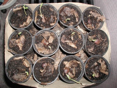 8Maro16.01.jpg