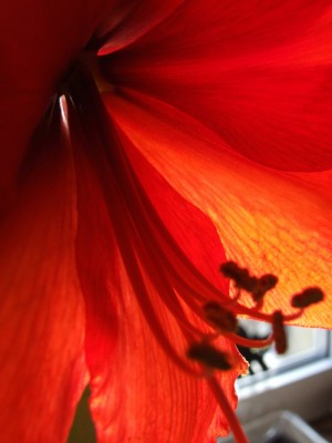 DSCF2474.JPG