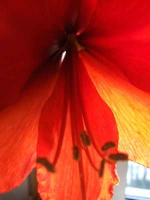 DSCF2472.JPG