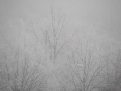 dscn8673_1.jpg