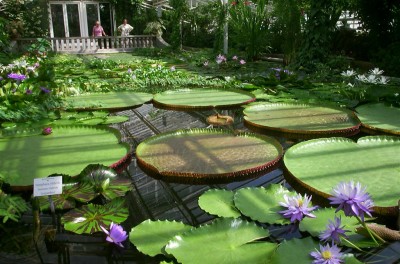 DCP_1109 (Large).JPG