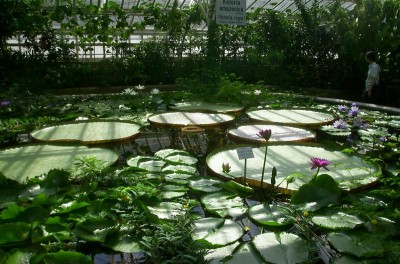 DCP_1107 (Large).JPG