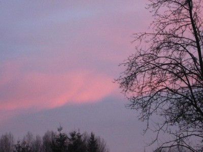Img_4718.jpg
