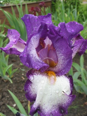 Nr.22 Name Footloose.jpg