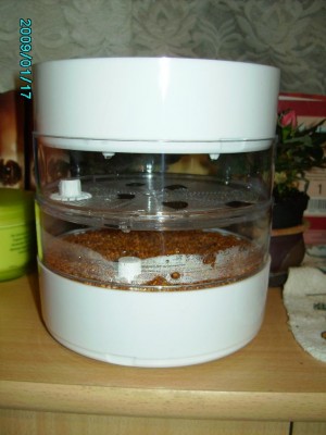 PICT0485.JPG
