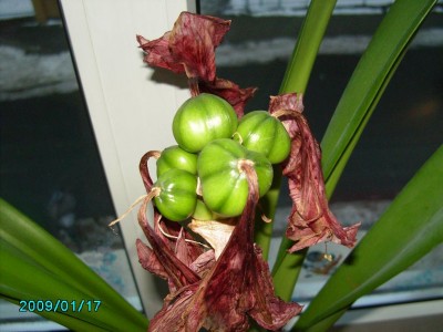 PICT0483.JPG