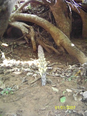 100_0404.JPG