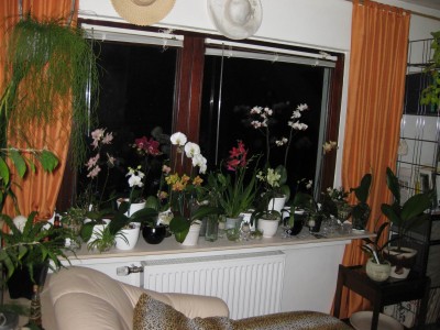 Größenänderung IMG_0325.JPG