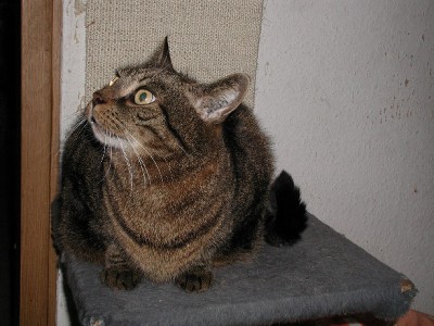Holly10.jpg