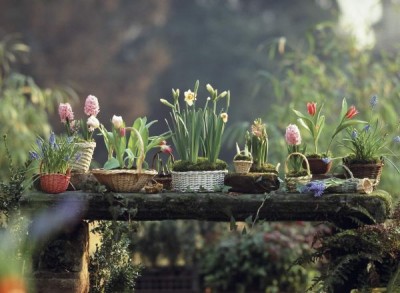 garten-fruehling-2.jpg