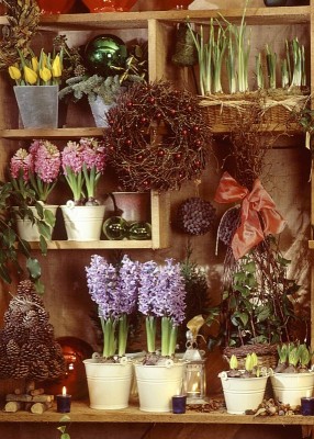 garten-fruehling-1.jpg