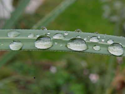 P9241670.JPG