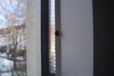 100_4747.JPG