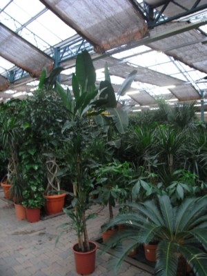 RIMG0577.jpg