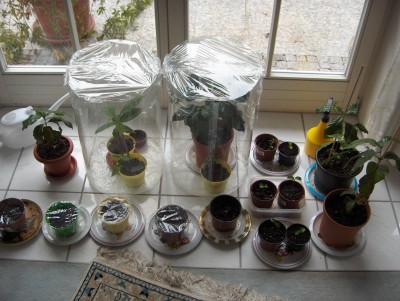 20.01.2009.JPG
