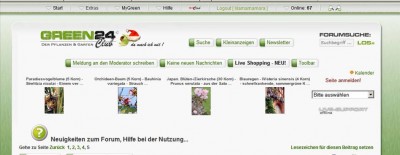 green-leiste.jpg