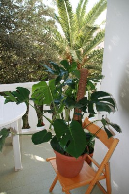 K800_IMG_2611.JPG