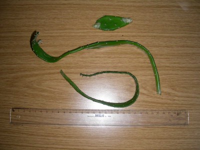 dscn8711_1.jpg