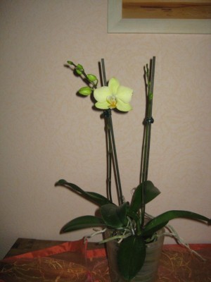 Img_4812.jpg