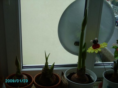 PICT0503.JPG