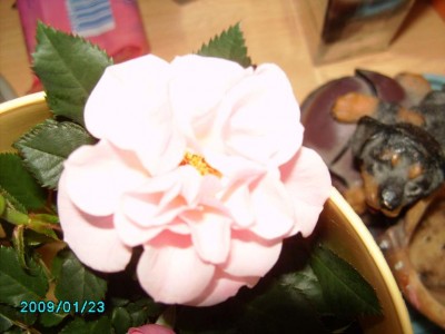 PICT0492.JPG