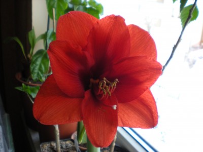 DSCN0080.JPG