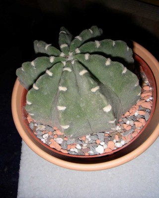 dscn8735_1.jpg