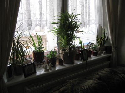 fensterbrett wohnzimmer.jpg