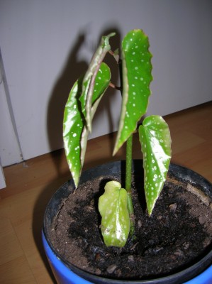 DSCN0752.JPG