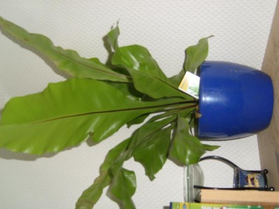 SL276013.JPG