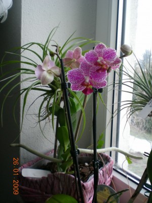 DSCN25990001.JPG