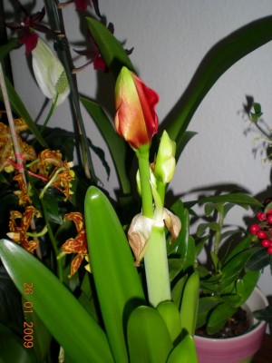 DSCN25940001.JPG