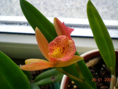 DSCN25970001.JPG