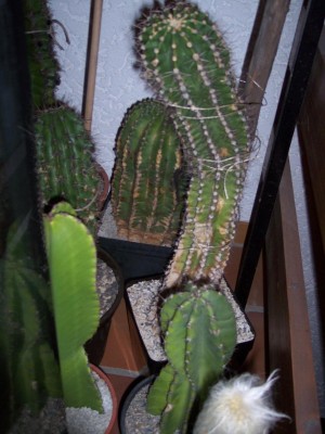 Bild 032.jpg